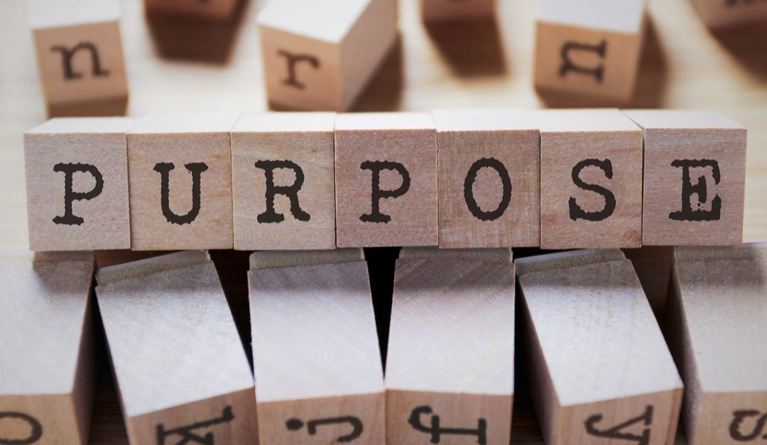 The power of Purpose in navigating these uncertain times